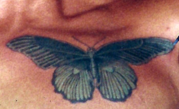 Butterfly on Chest