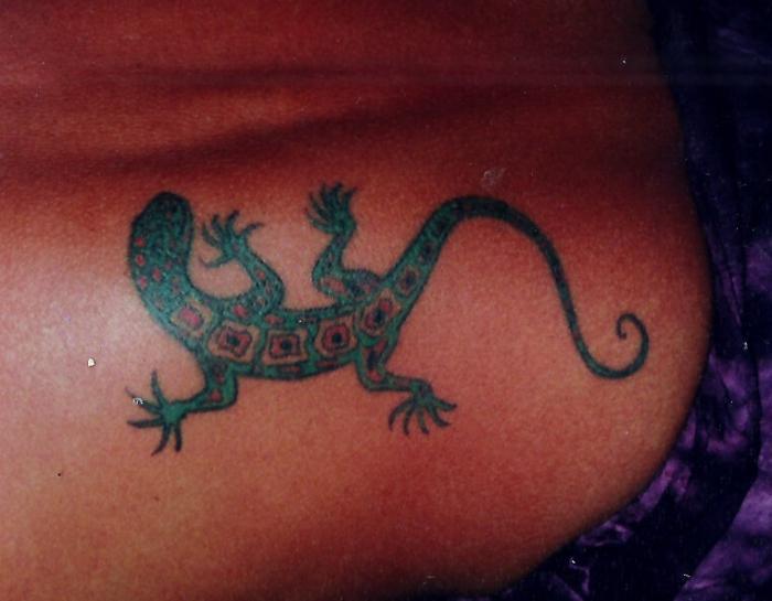 Gecko On My Back