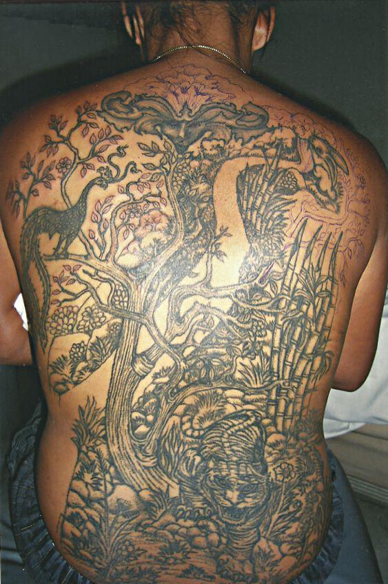 Amazing Full Back Jungle Scene